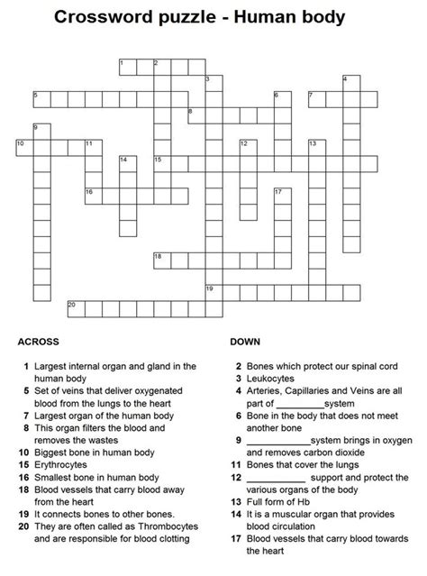 Human body crossword puzzle. Things To Know About Human body crossword puzzle. 